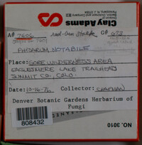 Image Associated With the Occurence